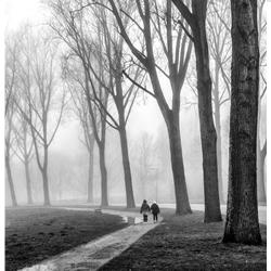 Fog Walkers Amsterdam